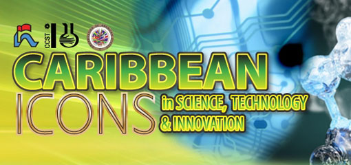 Caribbean Icons Website