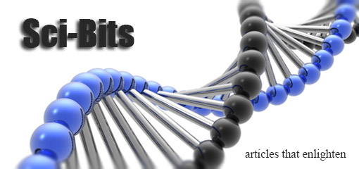 Sci-Bits