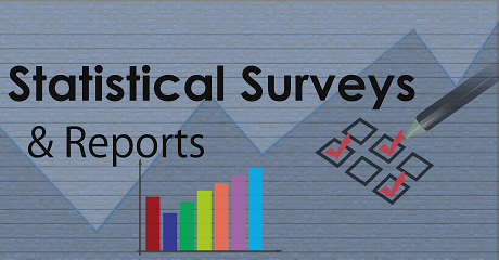 Statistical & Survey Reports