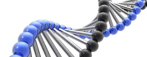 Genetics